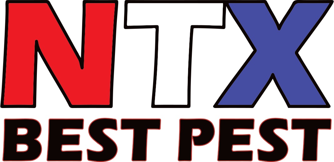 NTX Best Pest